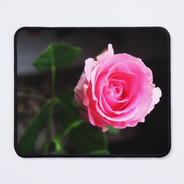 Item preview, Pretty rose designed and sold by ART22.