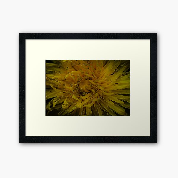 Item preview, dandelion designed and sold by Anne Schwedat.