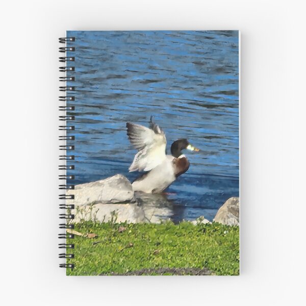 Item preview, El pato designed and sold by Willssb.