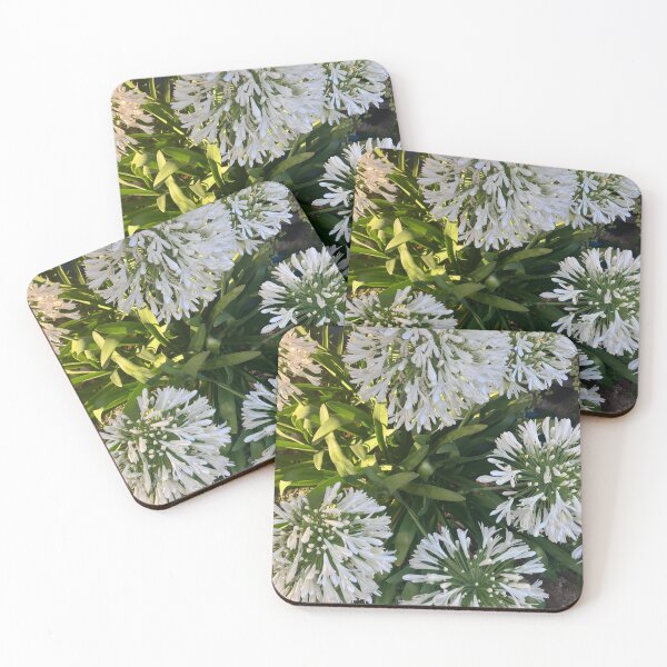 Item preview, White Agapanthus Lily of the Nile Flowers designed and sold by shaldesign.