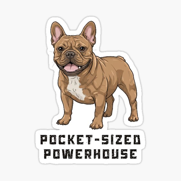 Item preview, Frenchie pocket-sized powerhouse brown designed and sold by MooreGifts.