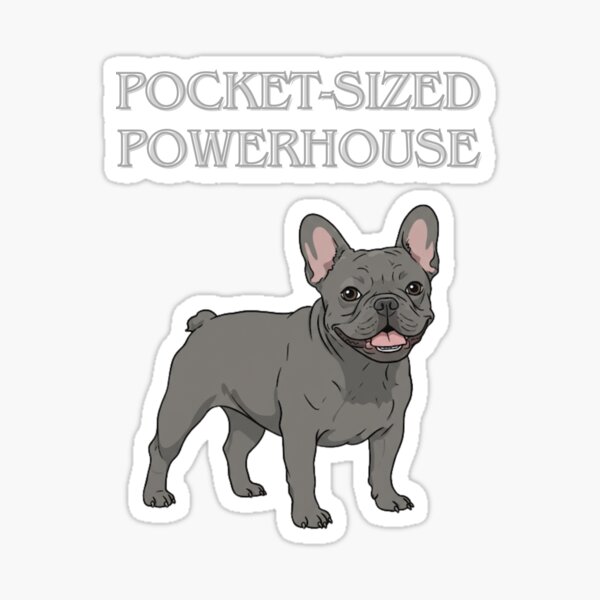 Item preview, Frenchie pocket-sized powerhouse grey designed and sold by MooreGifts.