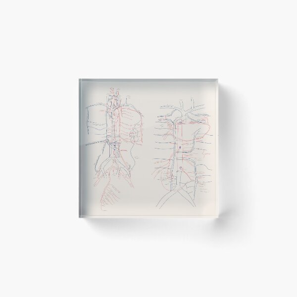 Item preview, Vital Pathways designed and sold by ascherf.