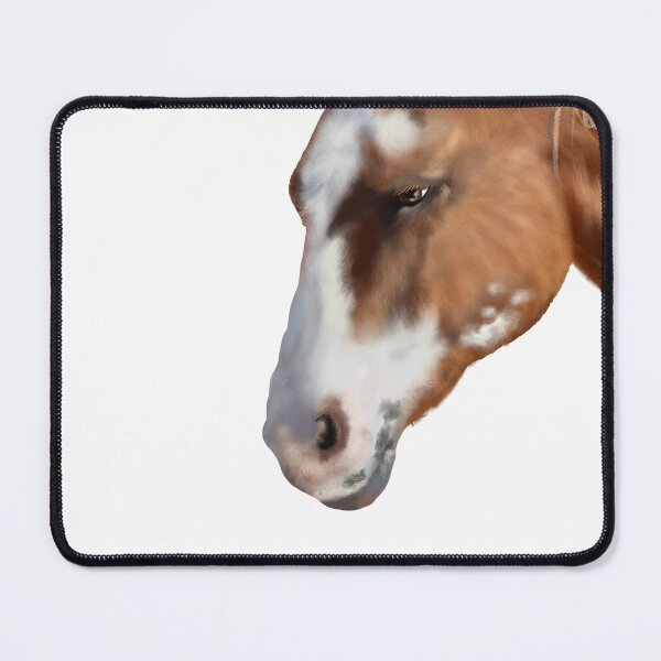 Item preview, Appaloosa  Horse designed and sold by CampK80.