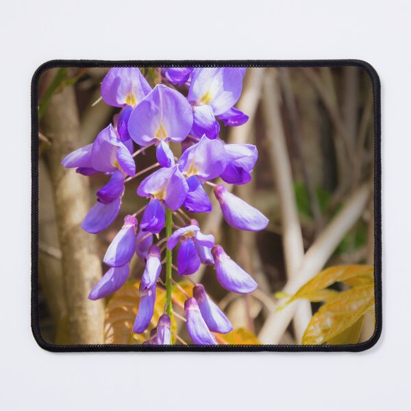 Item preview, Wisteria designed and sold by JEZ22.