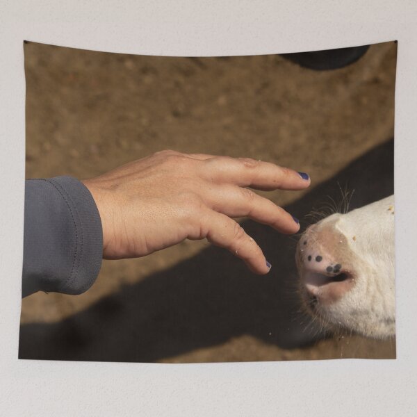 Item preview, smoothing the calf designed and sold by felipequeiroz.