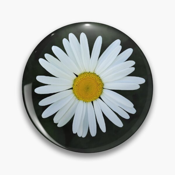 Item preview, Shasta Daisy designed and sold by shotsfromthehip.