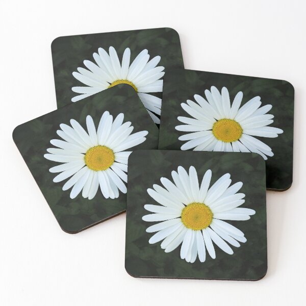 Item preview, Shasta Daisy designed and sold by shotsfromthehip.