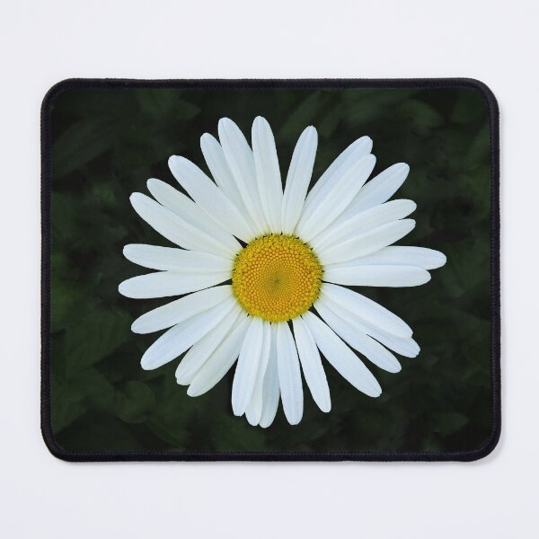 Item preview, Shasta Daisy designed and sold by shotsfromthehip.