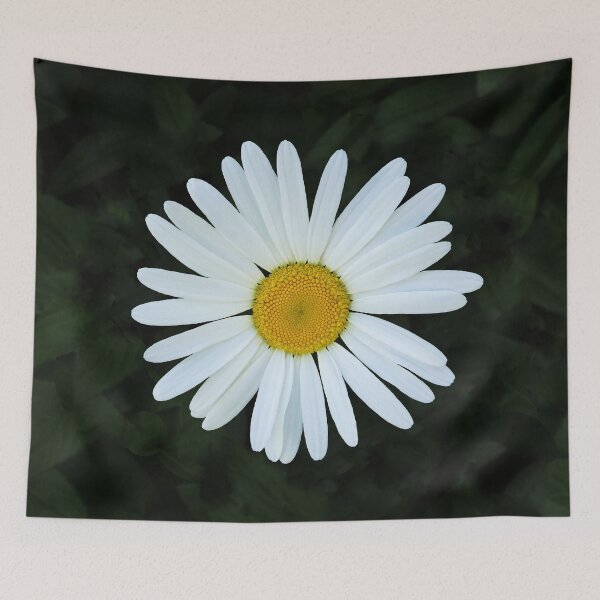 Item preview, Shasta Daisy designed and sold by shotsfromthehip.