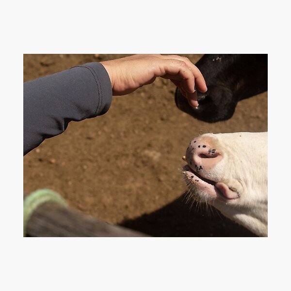 Item preview, smoothing the calf 2  designed and sold by felipequeiroz.