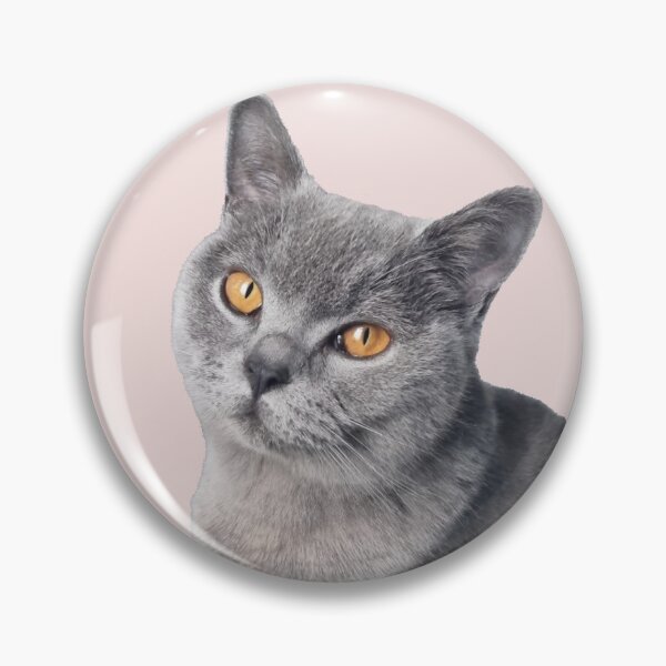 Item preview, Unimpressed British Shorthair designed and sold by SylviesBoutique.