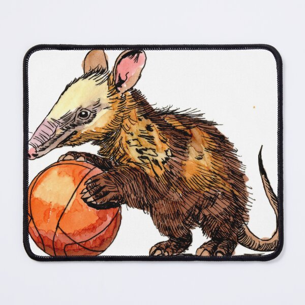 Item preview, Aardvark and a Basketball designed and sold by Scribbles & Doodles by Jinx.