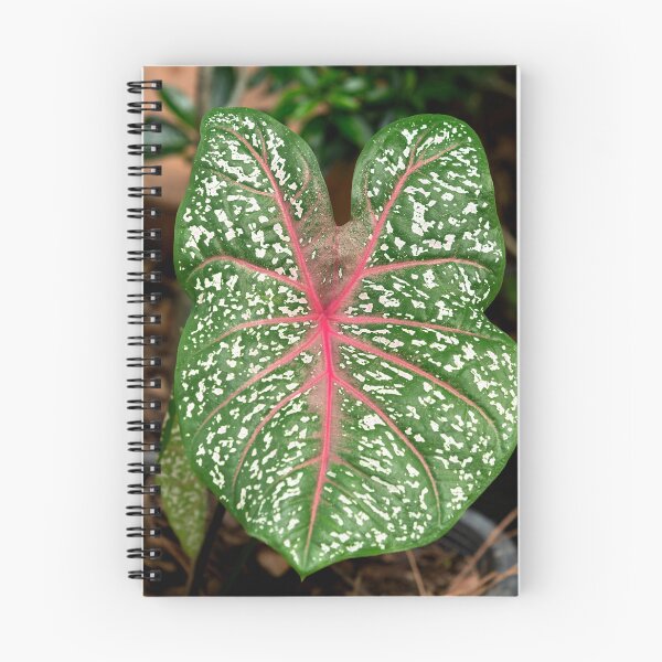 Item preview, red veins designed and sold by EmmePonsImages.
