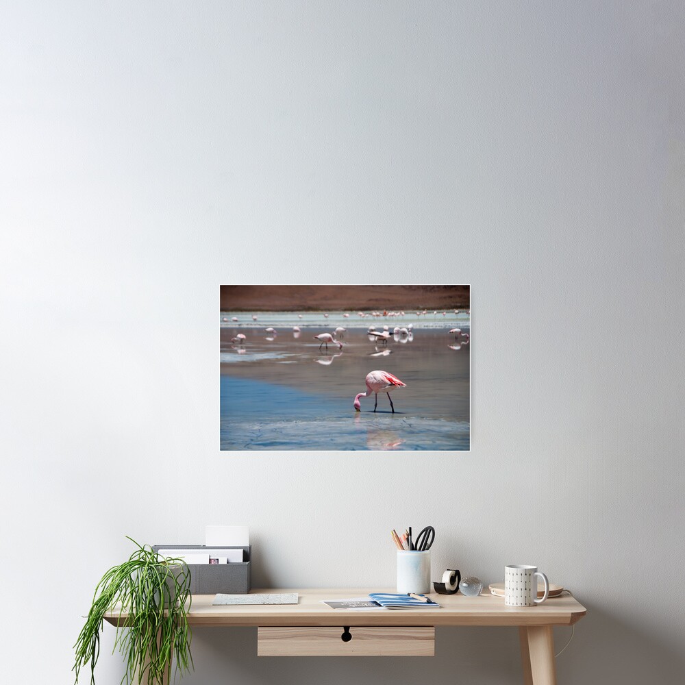 Flamingo Poster