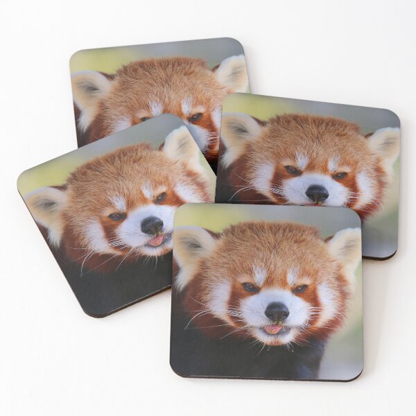 Item preview, Red Panda Stare designed and sold by Fearless-Fox.