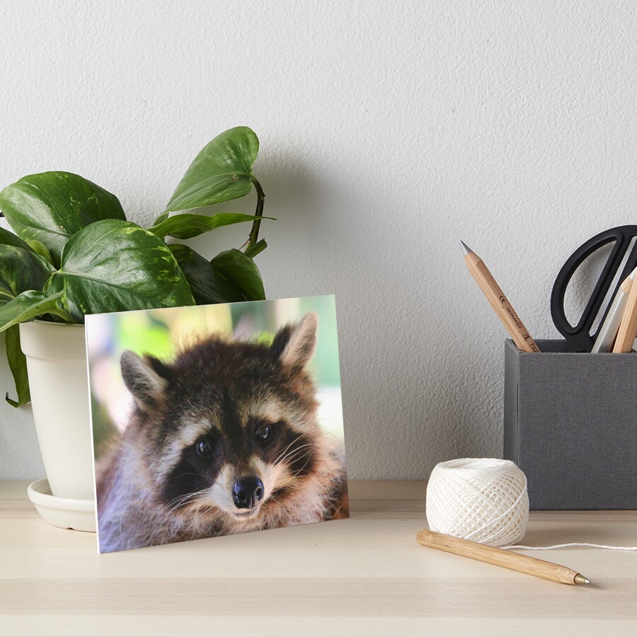 Item preview, Art Board Print designed and sold by Fearless-Fox.
