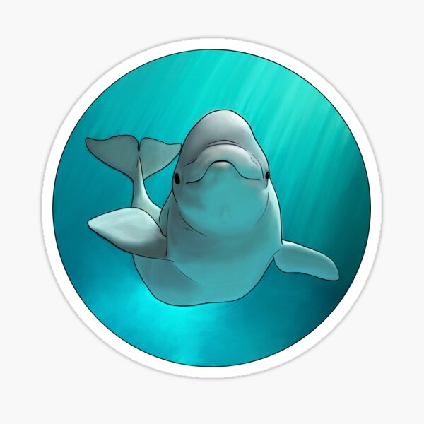 Item preview, Beluga Whale designed and sold by Madison N.