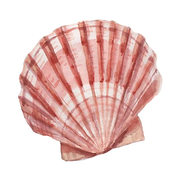 Artwork thumbnail, Shell Cake by Pinprint