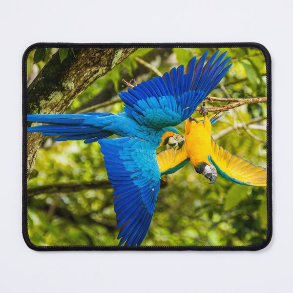Item preview, Flight of the Macaws designed and sold by Wes Goorachan.