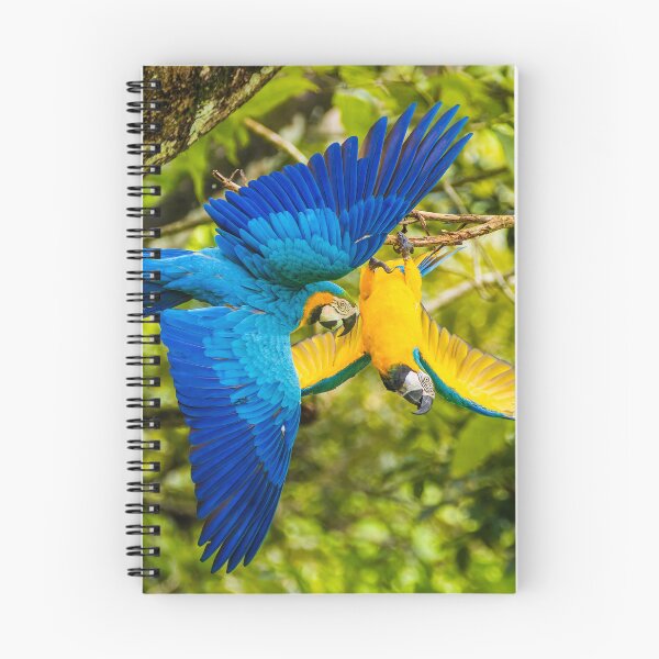 Item preview, Flight of the Macaws designed and sold by Wes Goorachan.