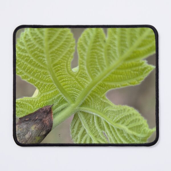 Item preview, Baby Fig designed and sold by RCRiot-Design.