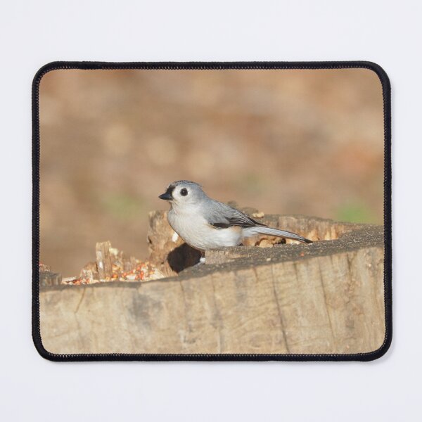 Item preview, Titmouse  designed and sold by Parks and X.
