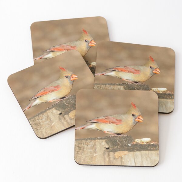 Item preview, Female Cardinal  designed and sold by Parks and X.