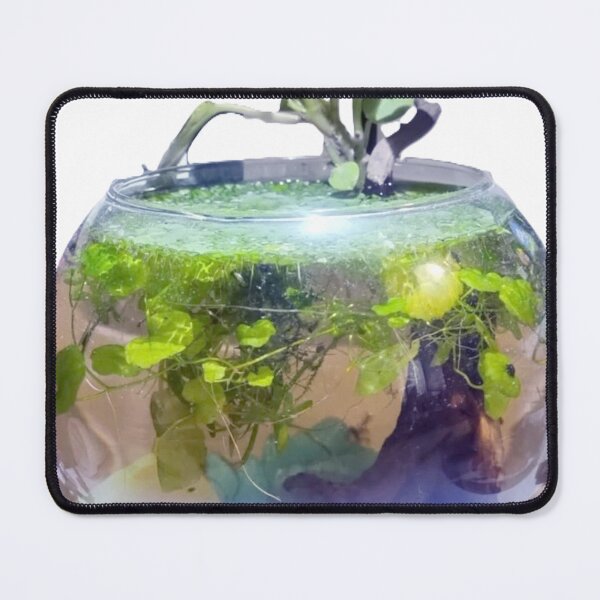 Item preview, Cuenco de estanque designed and sold by Spaghetti13.