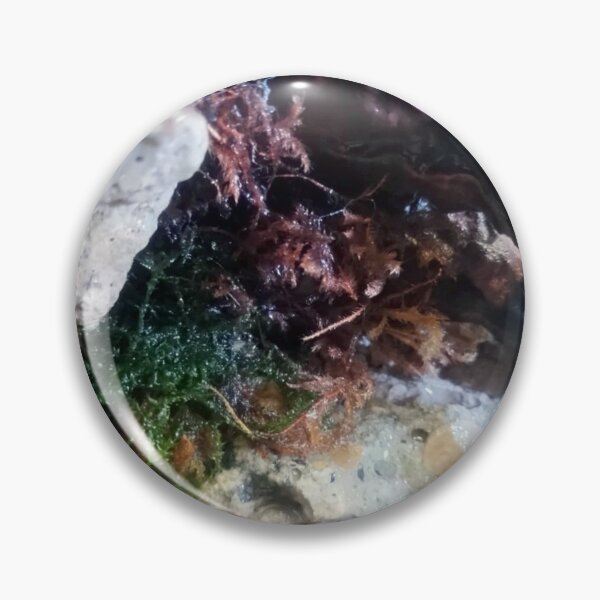 Item preview, Musgo en las rocas designed and sold by Spaghetti13.