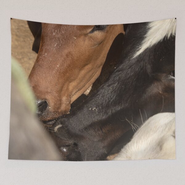 Item preview, calves on the farm designed and sold by felipequeiroz.