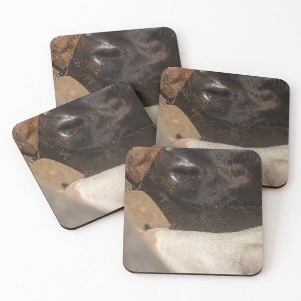 Item preview, calves on the farm 2 designed and sold by felipequeiroz.