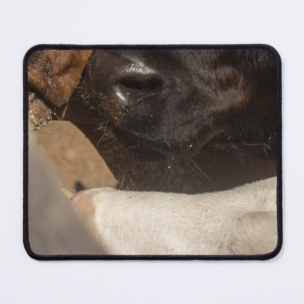 Item preview, calves on the farm 2 designed and sold by felipequeiroz.