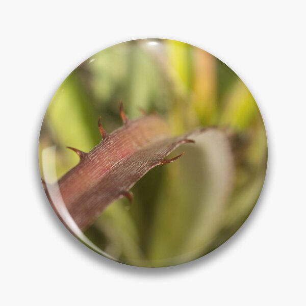 Item preview, exotic thorny plant designed and sold by felipequeiroz.