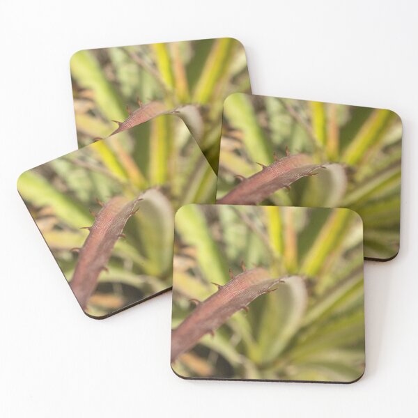 Item preview, exotic thorny plant designed and sold by felipequeiroz.