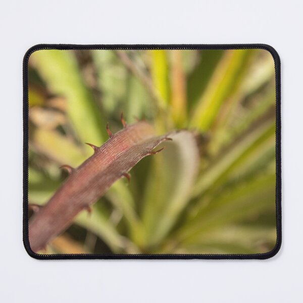 Item preview, exotic thorny plant designed and sold by felipequeiroz.