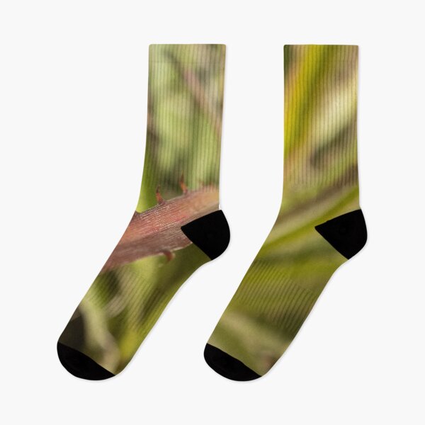 Item preview, exotic thorny plant designed and sold by felipequeiroz.