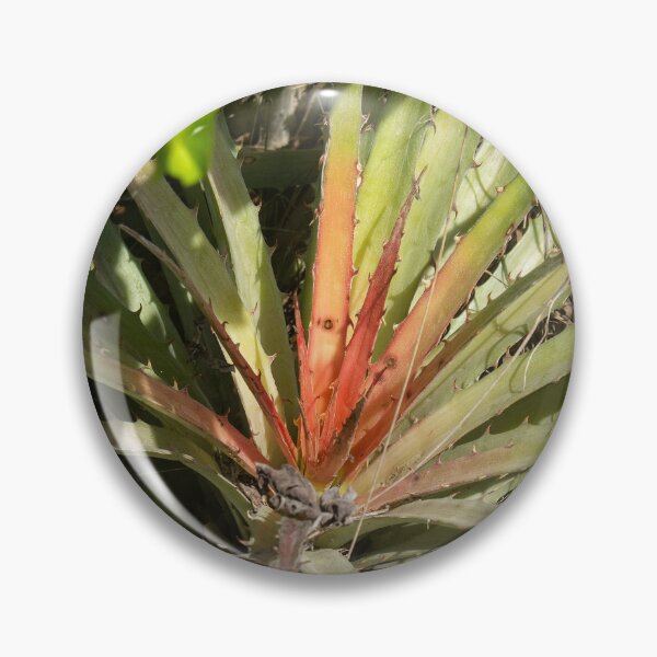 Item preview, exotic thorny plant 2 designed and sold by felipequeiroz.