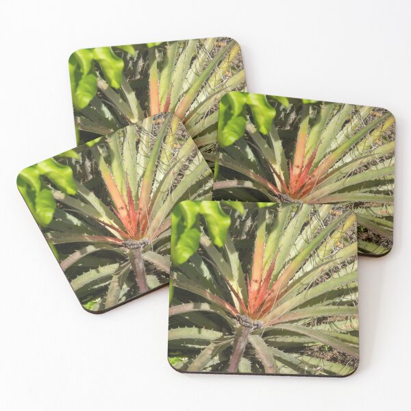 Item preview, exotic thorny plant 2 designed and sold by felipequeiroz.