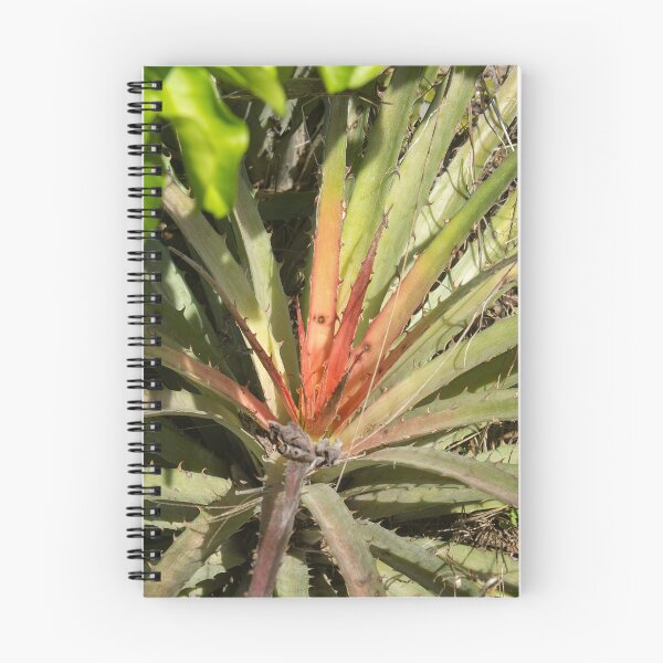 Item preview, exotic thorny plant 2 designed and sold by felipequeiroz.