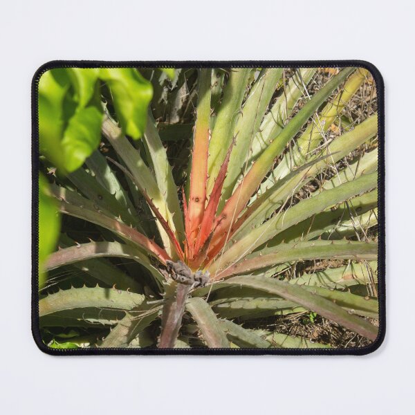 Item preview, exotic thorny plant 2 designed and sold by felipequeiroz.