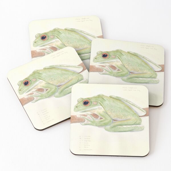 Item preview, 'litoria infrafrenata' - watercolour painting, animal art designed and sold by sarahkianaart.