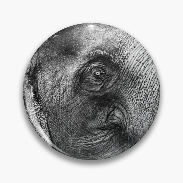 Artikelvorschau, Alter Elefant entworfen und verkauft von pcole123.