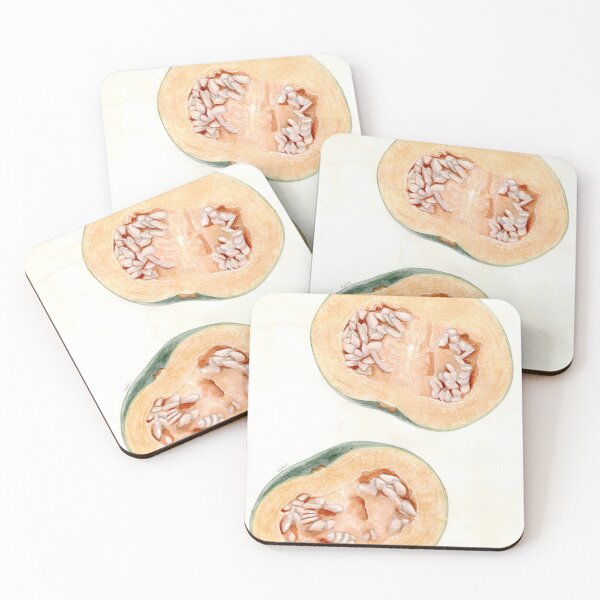 Item preview, 'cucurbita pepo' - watercolour painting, food art designed and sold by sarahkianaart.