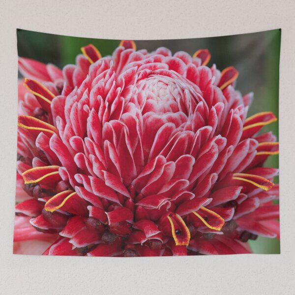 Item preview, The Flowers of May designed and sold by SBVillard.
