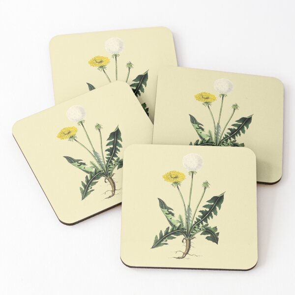 Artikelvorschau, Botanische Skizze des Löwenzahns entworfen und verkauft von hitNmiss.