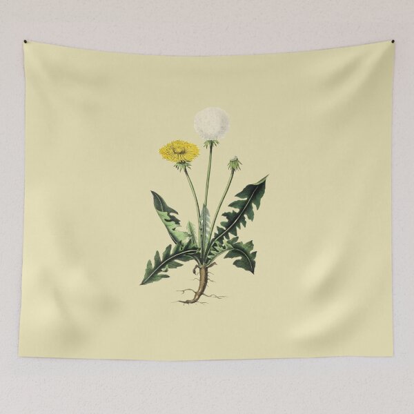 Item preview, Dandelion botanical sketch designed and sold by hitNmiss.