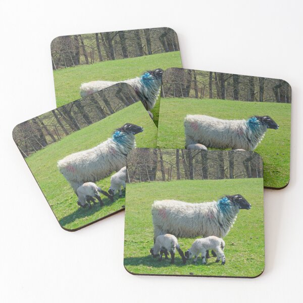Item preview, Swaledale Sheep with Lambs designed and sold by Alisonchambers2.
