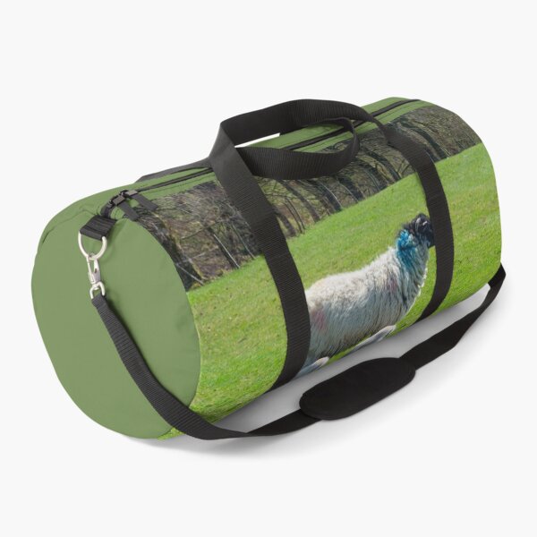 Item preview, Swaledale Sheep with Lambs designed and sold by Alisonchambers2.