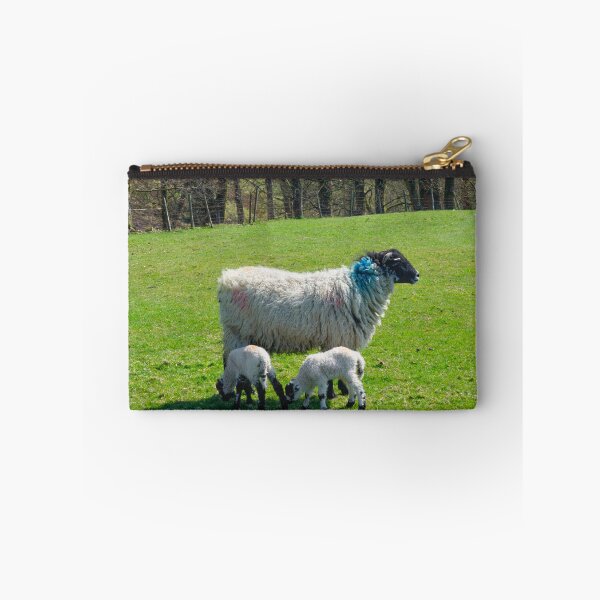 Item preview, Swaledale Sheep with Lambs designed and sold by Alisonchambers2.